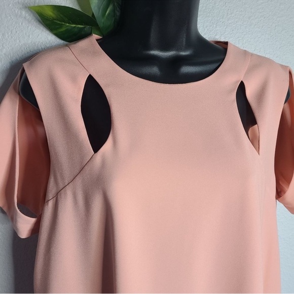 BCBGMaxAzria Blush Pink Mini Dress - Picture 2 of 9